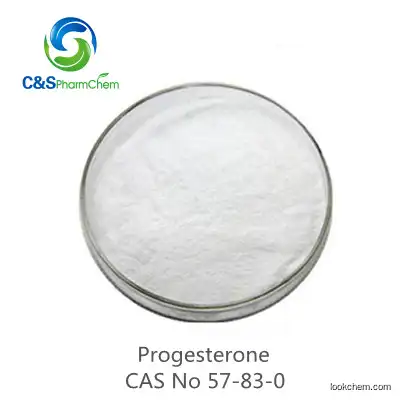 Progesterone?(micronized) USP EINECS 200-350-6