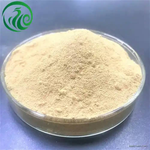 Ceftiofur Sodium CAS104010-37-9