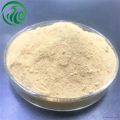 Betahistine Dihydrochloride CAS5579-84-0