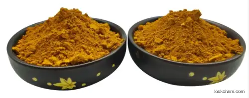 High Quality Pigment Yellow 101 CAS 2387-03-3 with Best Price