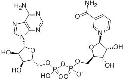 β-Nicotinamide Adenine Dinucleotide (NAD )