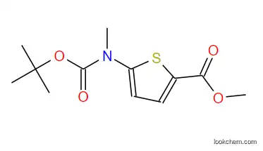 Methyl 5-(tert-butoxycarbonyl(methyl)amino) thiophene-2-carboxylate