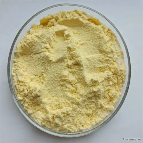 Sophora Japonica Extract 98% Quercetin Dihydrate Powder CAS 117-39-5