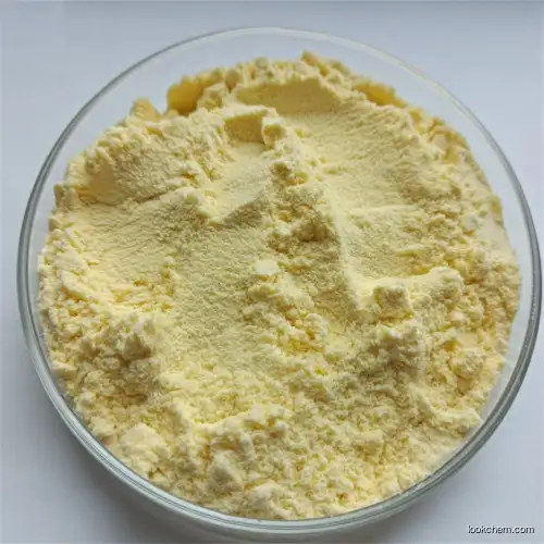 Sophora Japonica Extract 98% Quercetin Dihydrate Powder CAS 117-39-5