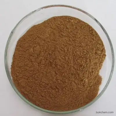 China Biggest Factory Manufacturer Supply Butterbur Extract Petasins 15%/Butterbur extracts