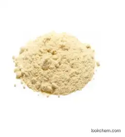 Big Discount 99% p-Nitroacetophenone CAS 100-19-6
