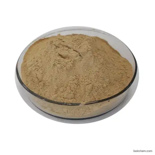 Best Price Ajuga Turkestanica Extract 2% 10% 20% Turkesterone Powder