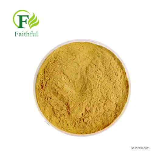 Natural Herbal Fibraurea raw powder Palmatine Extract Common Fibraurea Stem Extract High Quality Palmatine Bulk Palmatine