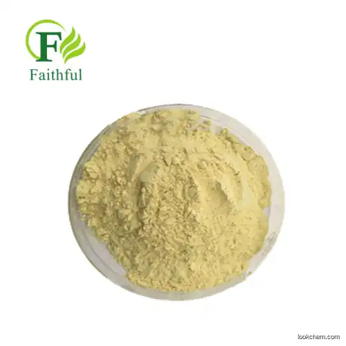 Rhubarb Root Extract Powder Chrysophanic acid / Rheum Palmatum Extract Powder Emodin Chrysophanol