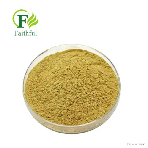 Natural Herbal Extract Powder Food Grade 95% Isoquercitrin powder raw material Isoquercitrin Powder
