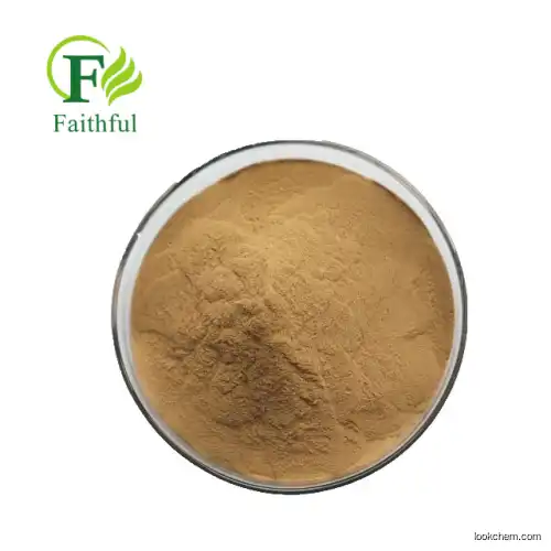 Natural Coleus Forskolin Extract Powder/Coleus Forskohlii Root Extract/Coleus Forskolin Extract 10% 20% Forskolin