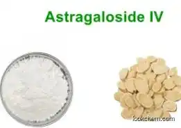 CAS:84687-43-4 Astragaloside IV