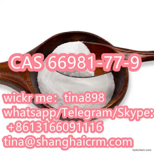 Free Sample Safe Transportation Tianeptine Ethyl Ester CAS 66981-77-9 Hot on Sale