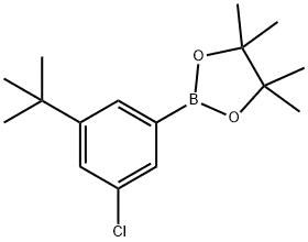 2-(3-TERT-BUTYL-5-CHLOROPHENYL)-4,4,5,5-TETRAMETHYL-1,3,2-DIOXABOROLANE(2095254-96-7)