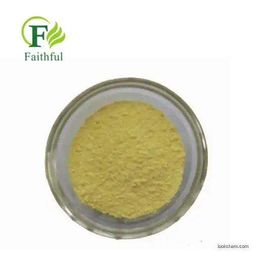 Rutin 95% 98% Sophora Japonica Extract Dab Usp Ep Rutin raw Powder