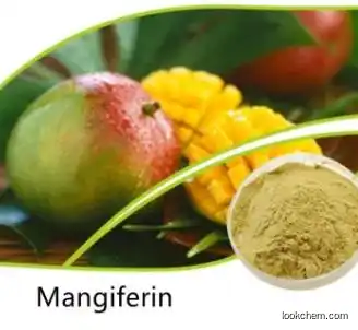 Factory Supply Natural Powder Mango Extract Mangiferin CAS 4773-96-0