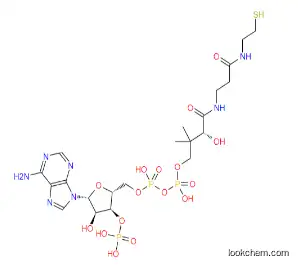 Coenzyme A CAS 85-61-0 Coenzyme A hydrate