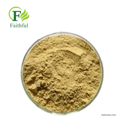 Milk Thistle Extract Silymarin Powder for Protecting Liver and Anti-Tumor Silymarin 99% purity
