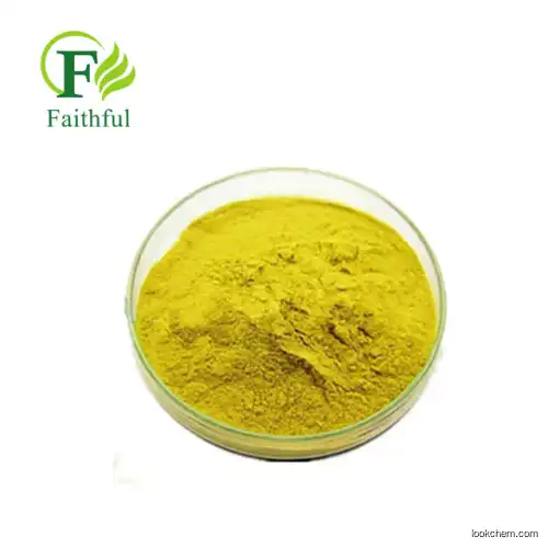 High Quality Supply High Purity Quality Organic Quercetin 98% Extract Quercetin Powder