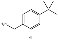 tBBAI  Benzenemethanamine, 4-(1,1-dimethylethyl)-, hydriodide