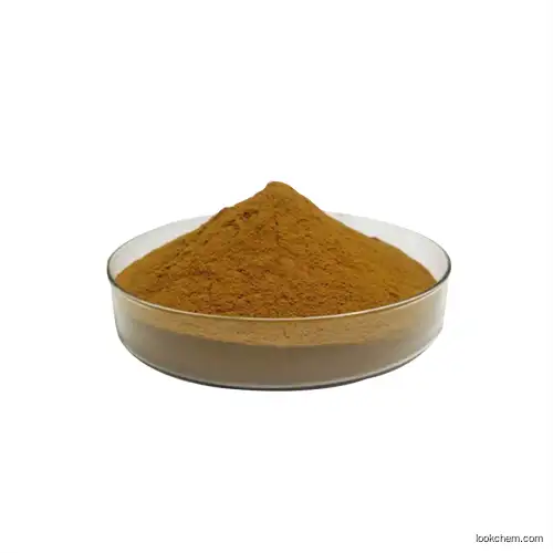 Ginseng Extract, Brown-Yellow fine powder, Ginsenoside. Convincing quality. High content and competitive price. Certificates are complete.(90045-38-8)