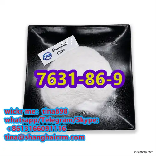 Best Price Top Quality Silicon dioxide 7631-86-9 in Stock