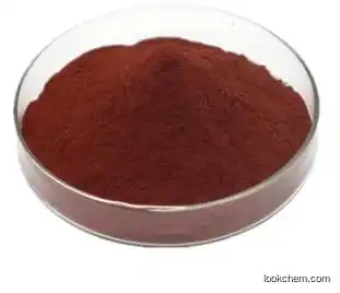 Cranberry Extract Extract Anthocyanidins CSA： 4852-22-6 Proanthocyanidin powder