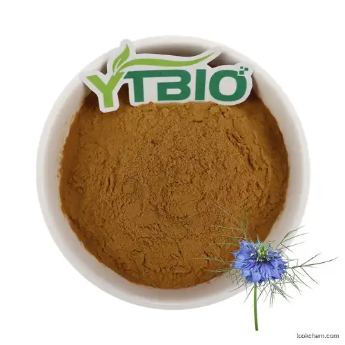 Wholesale Nigella Sativa Seed Extract Thymoquinone Powder 10%