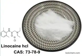CAS 73-78-9  Lidocaine Hydrochloride HCl