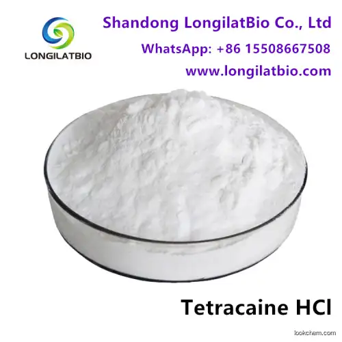 99% Tetracaine Hydrochloride Powder CAS 136-47-0