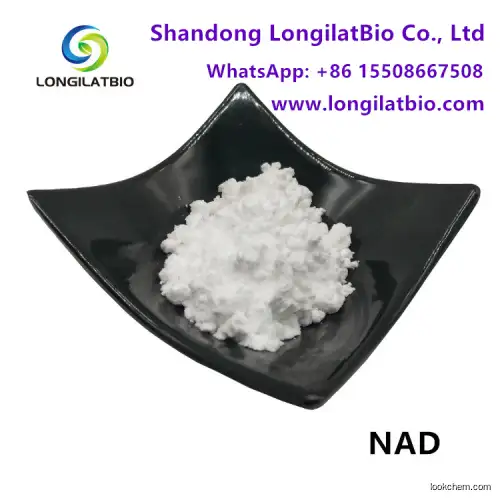 CAS 53-84-9 Nicotinamide Adenine Dinucleotide Powder NAD For Anti Aging