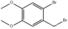 2-bromo-4,5-dimethoxybenzyl bromide 53207-00-4