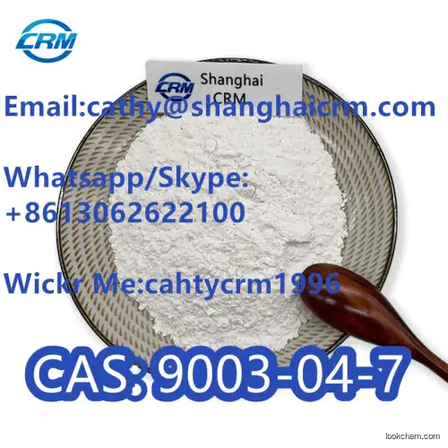 CAS No 9003-04-7 Sodium Polyacrylate CAS 9003-04-7 Paas in Stock Polyacrylic Acid Sodium Salt
