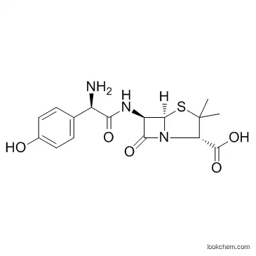 High Quality Amoxicillin