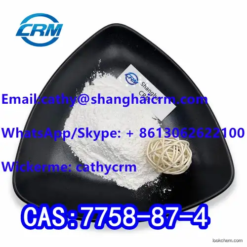 High Quality 99% Calcium Phosphate CAS 7758-87-4 Powder for Nutritional Supplement