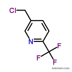 Manufacturer of 5-(chloromethyl)-2-(trifluoromethyl)pyridine at Factory Price CAS NO.386715-33-9
