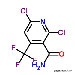 Manufacturer of 2,6-Dichloro-4-(trifluoromethyl)nicotinamide at Factory Price CAS NO.158063-67-3