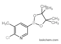 Manufacturer of 2-chloro-3-methylpyridine-5-boronic acid pinacol ester at Factory Price CAS NO.1010101-07-1