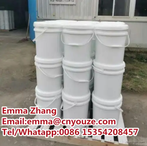 Manufacturer of Ethyl 4-hydroxy-8-methoxyquinoline-3-carboxylate at Factory Price CAS NO.27568-04-3