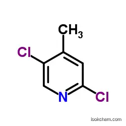Manufacturer of 2,5-Dichloro-4-methylpyridine at Factory Price CAS NO.886365-00-0