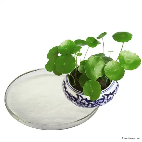 Centella asiatica extract 10：1