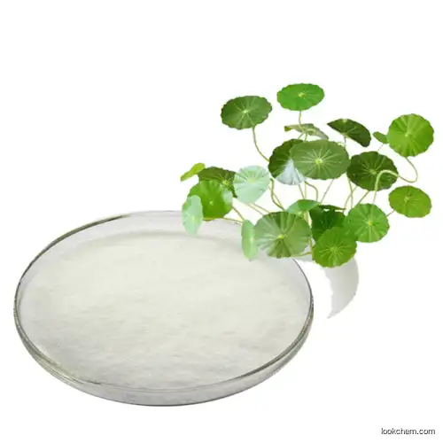 Centella asiatica extract 10：1