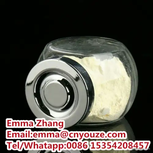 Factory direct sale Top quality 2-Chloro-5-nitropyridin-4-amine CAS.2604-39-9