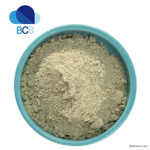 stock 99% fenbendazole powder