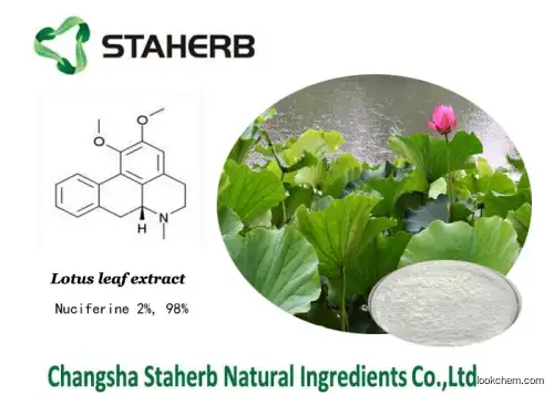 Lotus leaf Extract 10：1