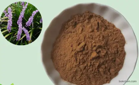 Radix Ophiopogonis Extract 10：1