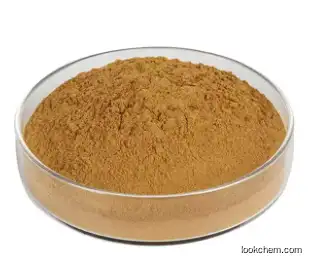 Kelp Extract Powder 15% Polysaccharides