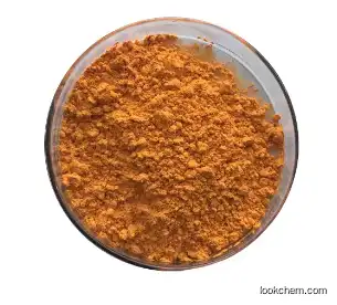 Rhei Extract Powder
