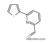 Factory direct sale Top quality 6-(2-THIENYL)-2-PYRIDINECARBOXALDEHYDE CAS.208111-00-6