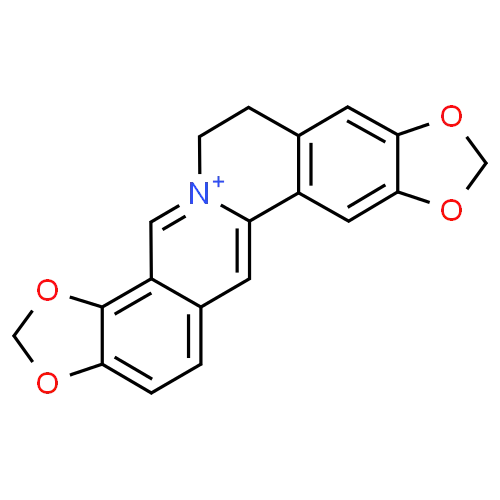 Hot Sell Factory Supply Raw Material CAS 3486-66-6  ，Coptisine